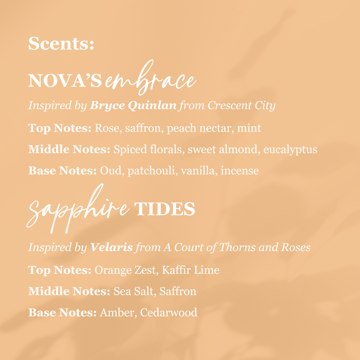 Sample Candles - 6 pack - Flicker & Fable